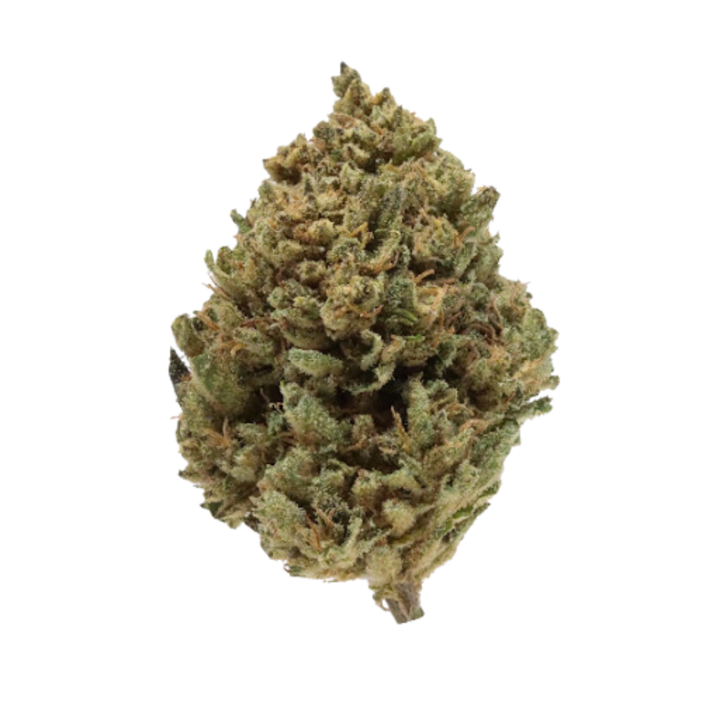 Lemon Kush
